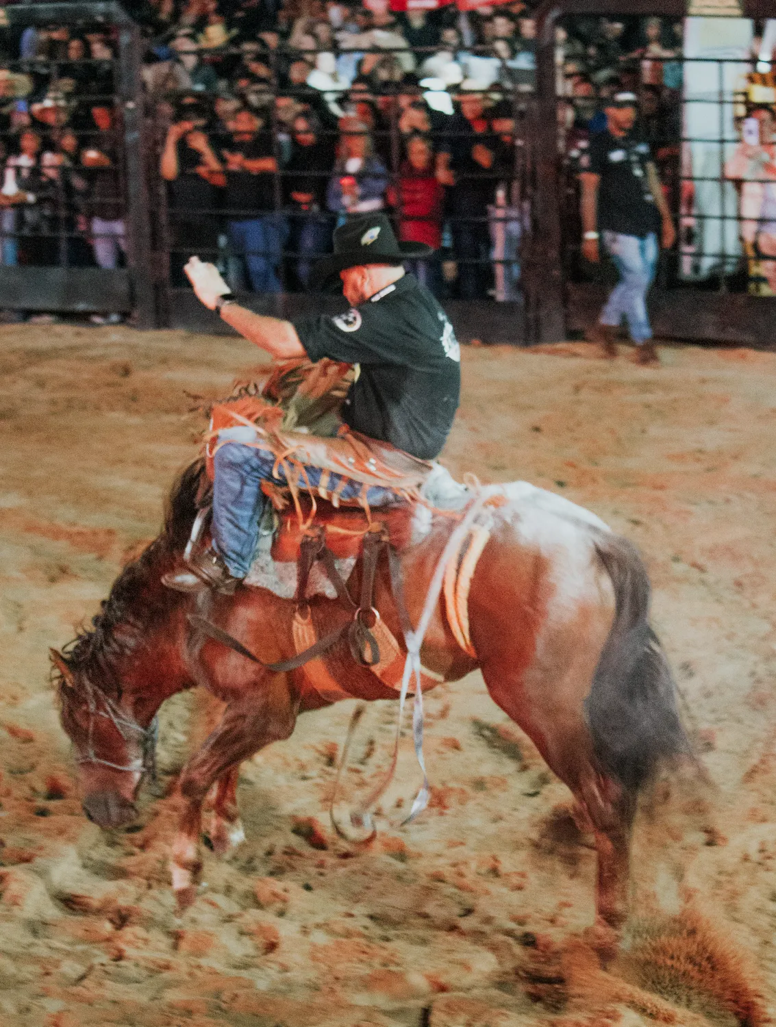 Montaria em cavalo bravo na arena — Rodeio Fest 2026, 07.08