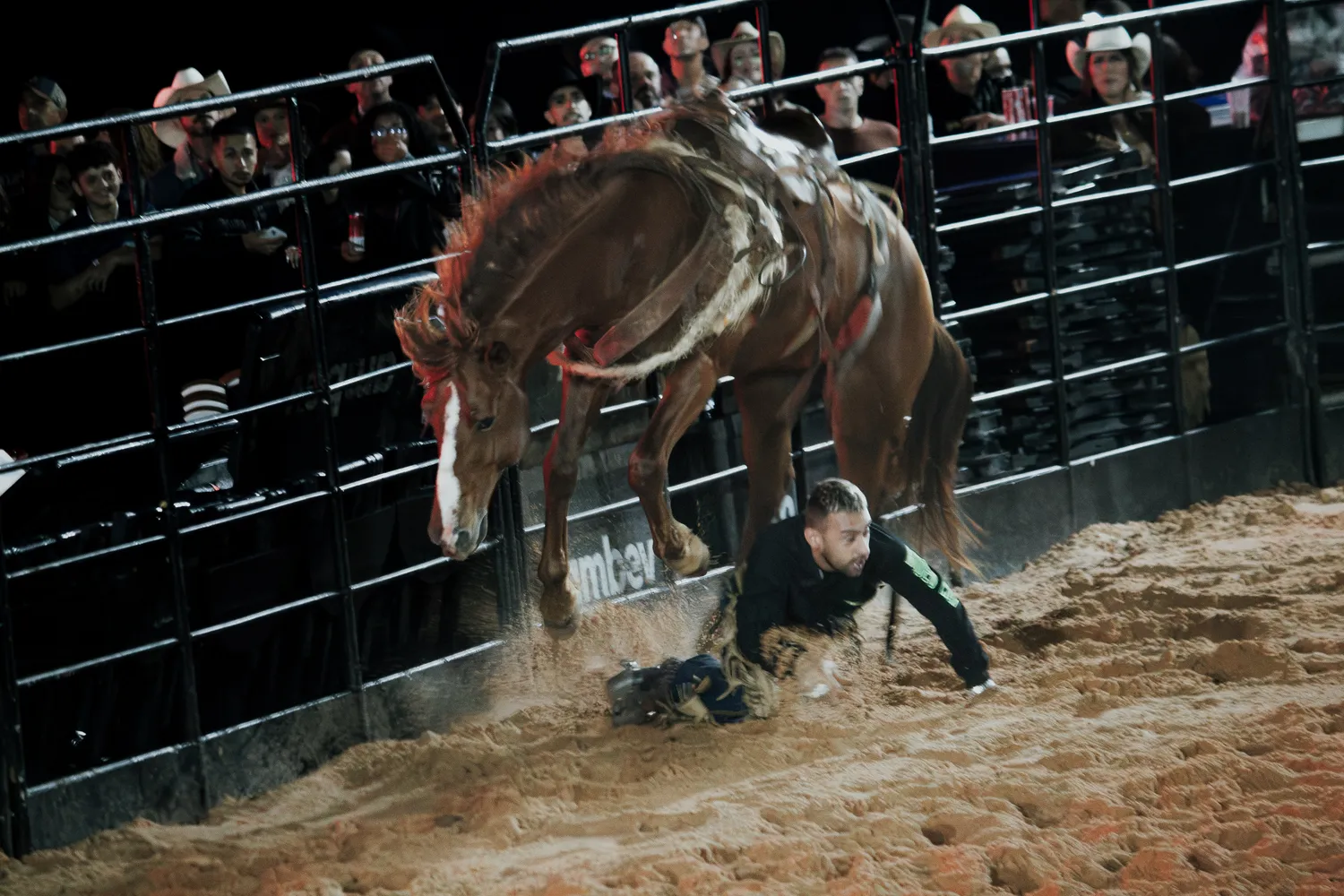 Salto do cavalo durante a montaria — Rodeio Fest 2026, 07.08